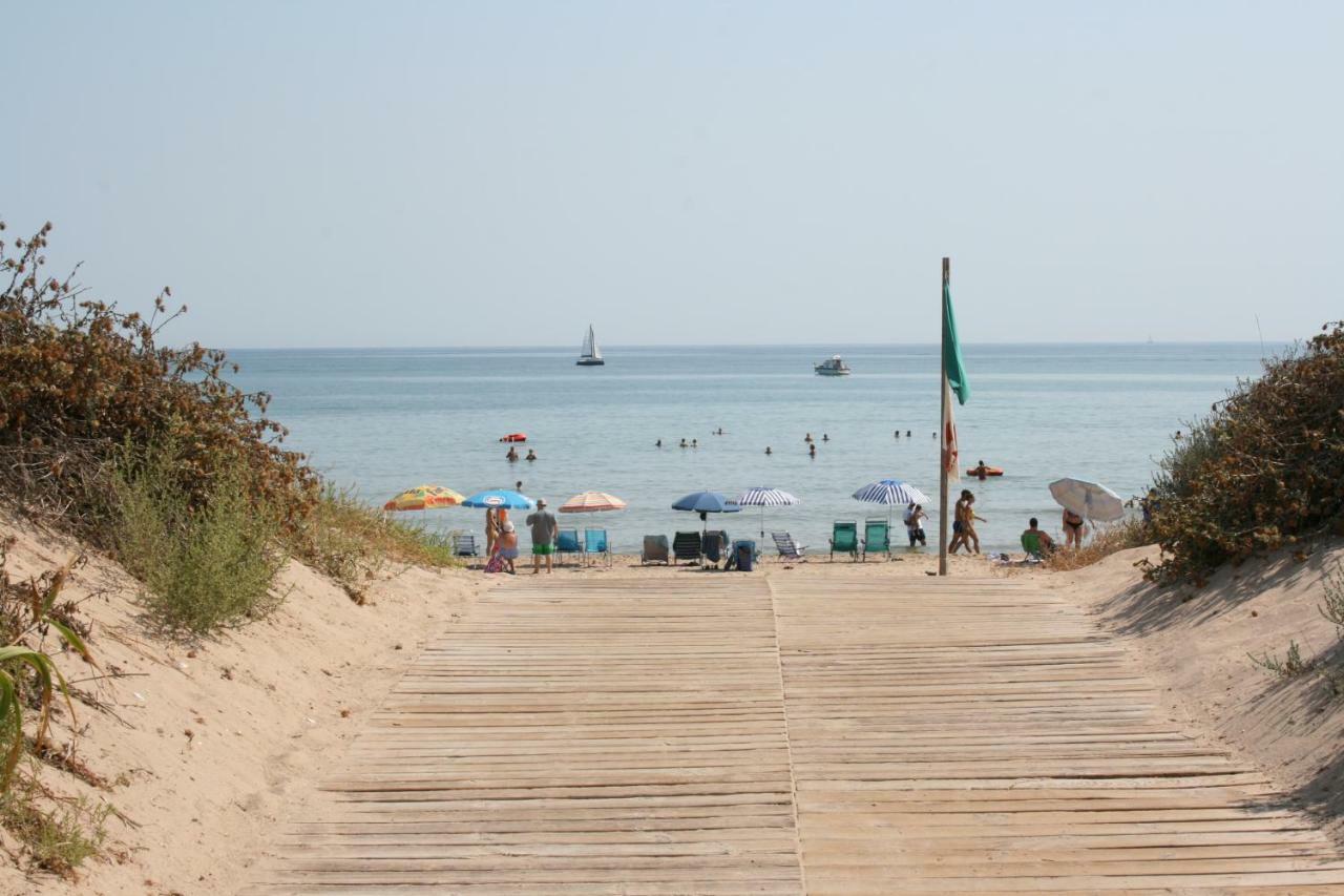 Oliva Holidays 1 מראה חיצוני תמונה